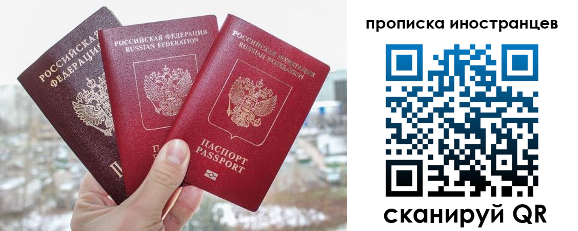 временная регистрация поиск в Светлогорске